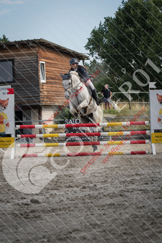 ND5_8971 | Sport-, Event- und Tierfotos in Profiqualität. Einfach auswählen, bestellen und herunterladen. Dein Moment – perfekt festgehalten.