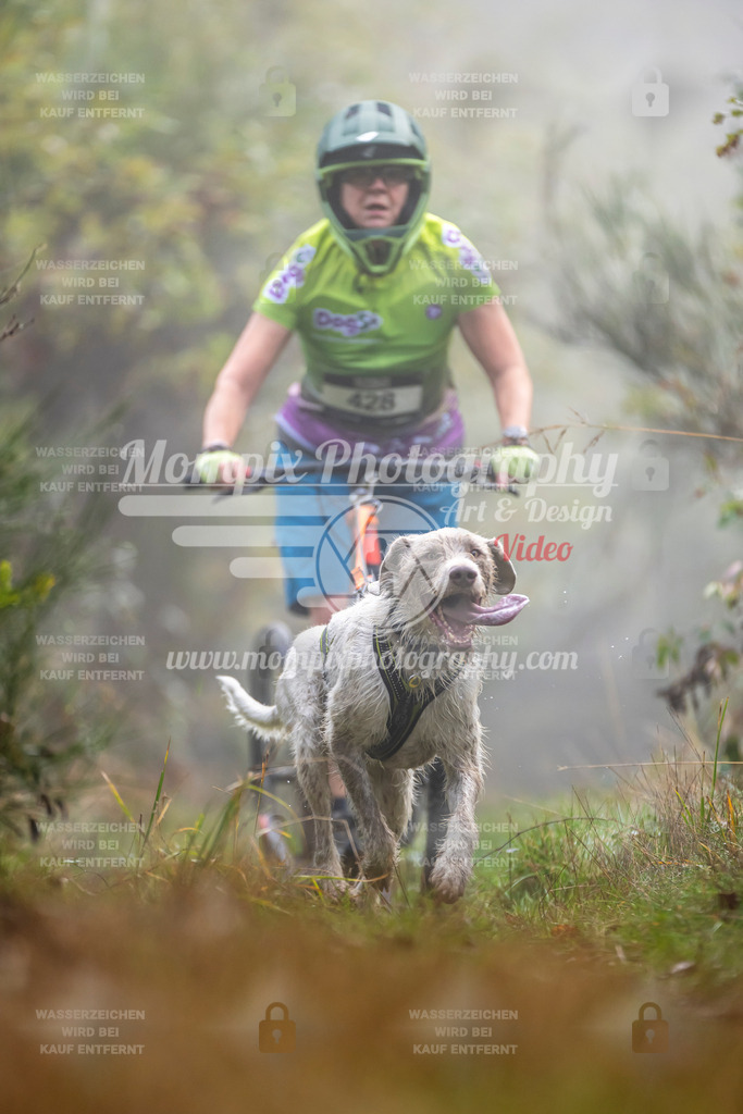 MompixPhotography_20TSB_E4_DS1-44 | PayLife