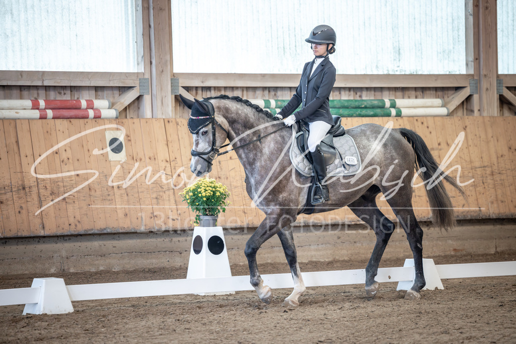 20251011-_3LI7629 | Tierfotografie Pferde, Hunde, Katzen, Haustiere.
Turnierfotografie Reitturniere, Reiten, Springreiten, Dressur in Hanau, dem Main-Kinzig-Kreis und dem Rhein-Main- Gebiet um Frankfurt