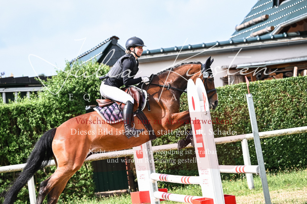 DSC_8426 | Pferde- und Turnierfotografie in Westsachsen. Pferdeportraits, Auftragszeichnungen und intuitive Kunst.