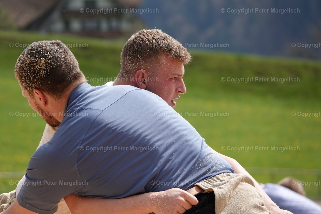 DSC03138 | Schwingen - Realisiert mit Pictrs.com