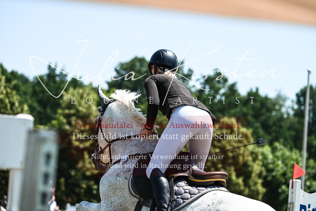 DSC_0266 | Pferde- und Turnierfotografie in Westsachsen. Pferdeportraits, Auftragszeichnungen und intuitive Kunst.