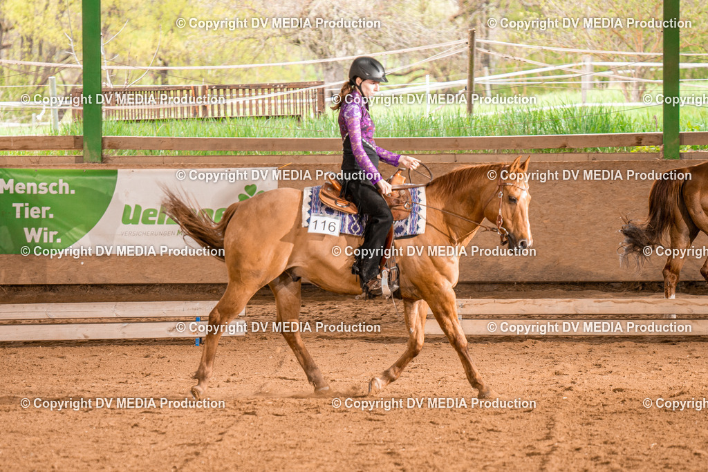 BAL00677 | dv-media-shop - Realisiert mit Pictrs.com