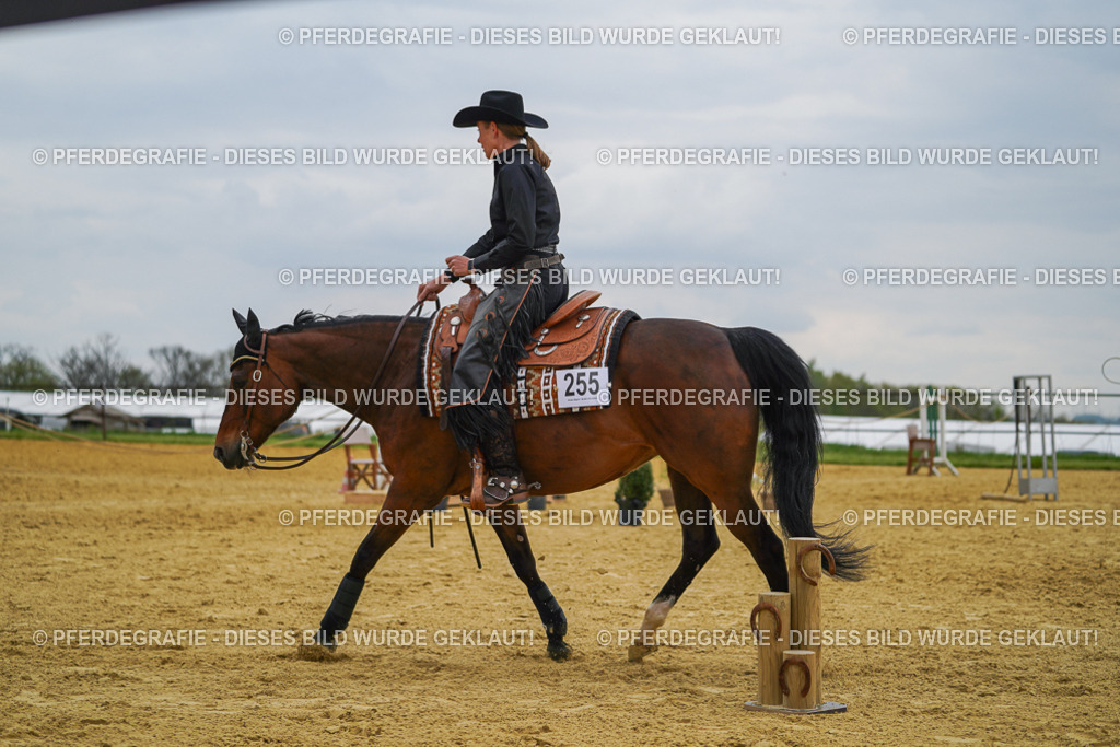 DSC07664 | Pferdegrafie