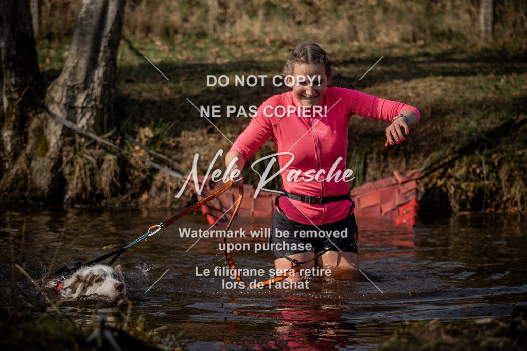 nelerasche_FS1330-1400_214 | nelerasche