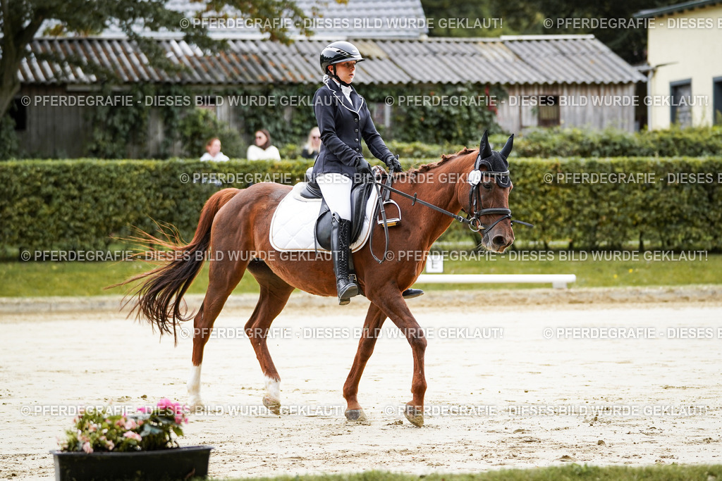 DSC04607 | Pferdegrafie