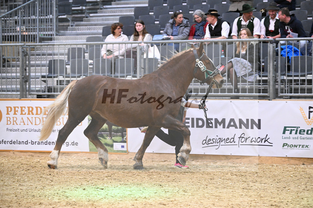 Kat-Nr. 15 Edelfee v. Vestus_Strauss_1260250 | hf-fotografie - Realisiert mit Pictrs.com