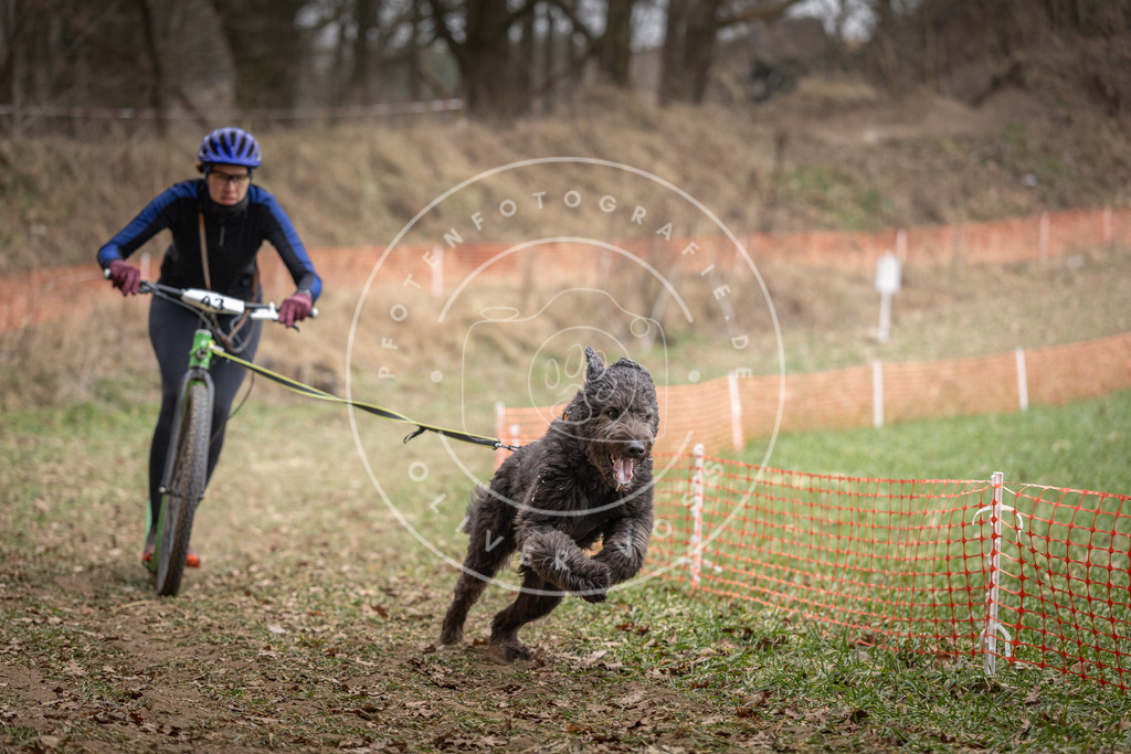 Pfotenfotografie_DV3A6597 | Hundefotografie, Tierfotograf, Pfotenfotografie, Fotoshooting Hund, Hunde Portrait, Hundesport, Hundeportraits, Heideshooting, Hunde, Sportfotograf, Hundefotograf, Turnierhundsport, THS,  - Realisiert mit Pictrs.com