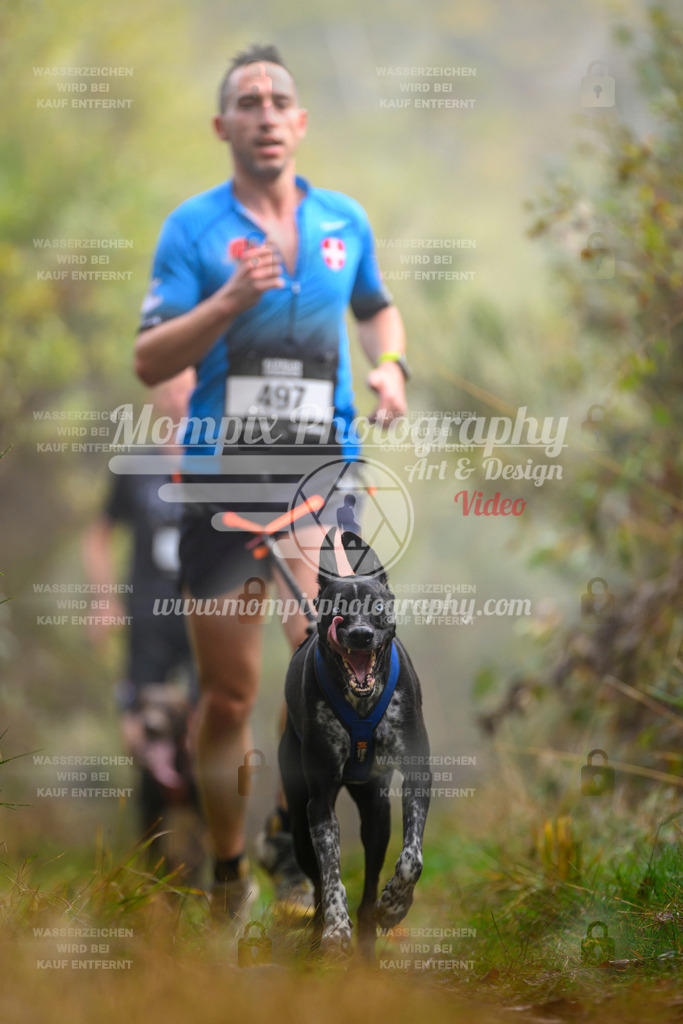 MompixPhotography_20TSB_E4_Run-34 | PayLife