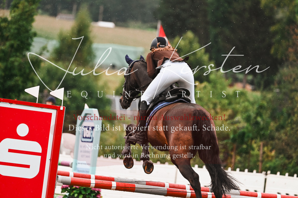 DSC_6591 | Pferde- und Turnierfotografie in Westsachsen. Pferdeportraits, Auftragszeichnungen und intuitive Kunst.