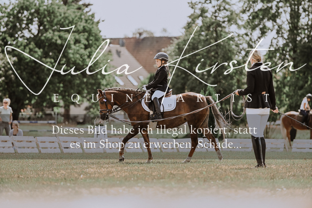 DSC_7595 | Pferde- und Turnierfotografie in Westsachsen. Pferdeportraits, Auftragszeichnungen und intuitive Kunst.