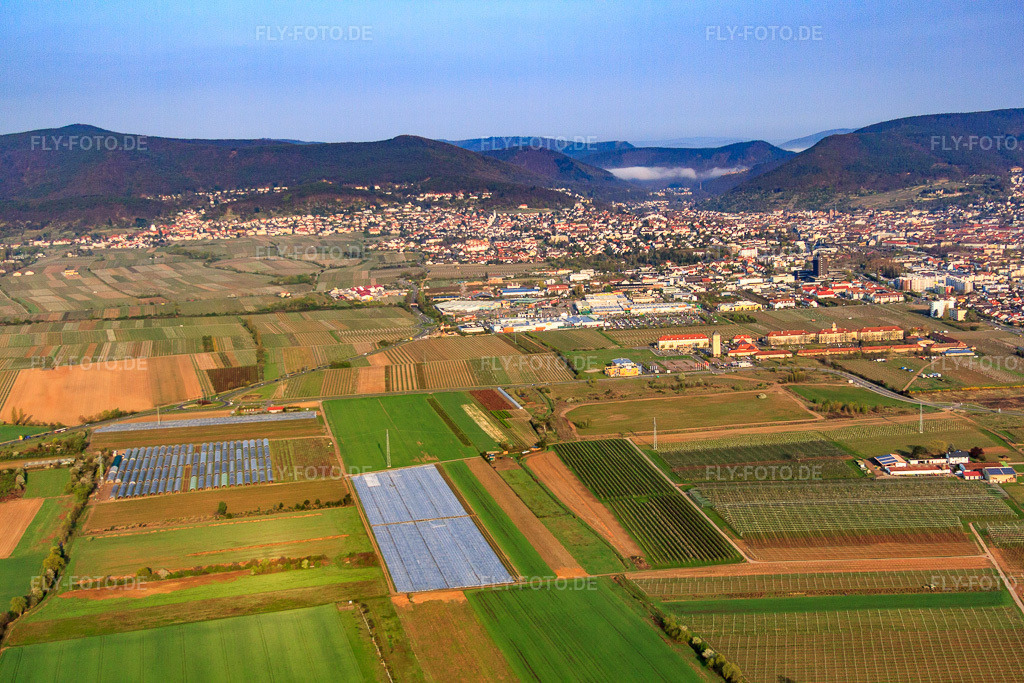 Luftbild: Stadtansicht aus Osten mit Le Quartier-Hornbach in Neustadt an der Weinstraße im Bundesland Rheinland-Pfalz in Deutschland. Foto: IMG_49613.jpg vom 13.04.2012 durch Werner Riehm/FLY-FOTO.deAuflösung des Originals: 4752 x 3168 px
