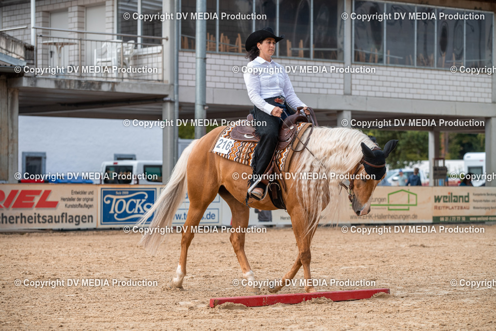 EWP_5623 | dv-media-shop - Realisiert mit Pictrs.com