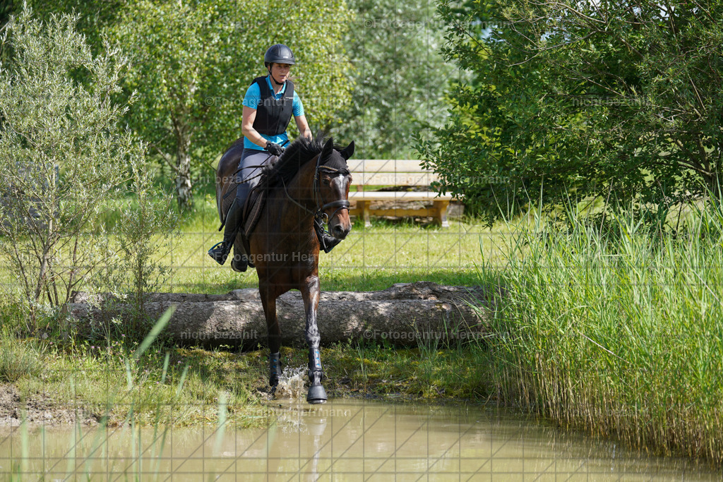 20240622-FAH07867 | Turnierfotografen Bayern, Reitsportbilder aus dem Geländekurs mit Felix Etzel auf dem Gut Waitzacker 2024
