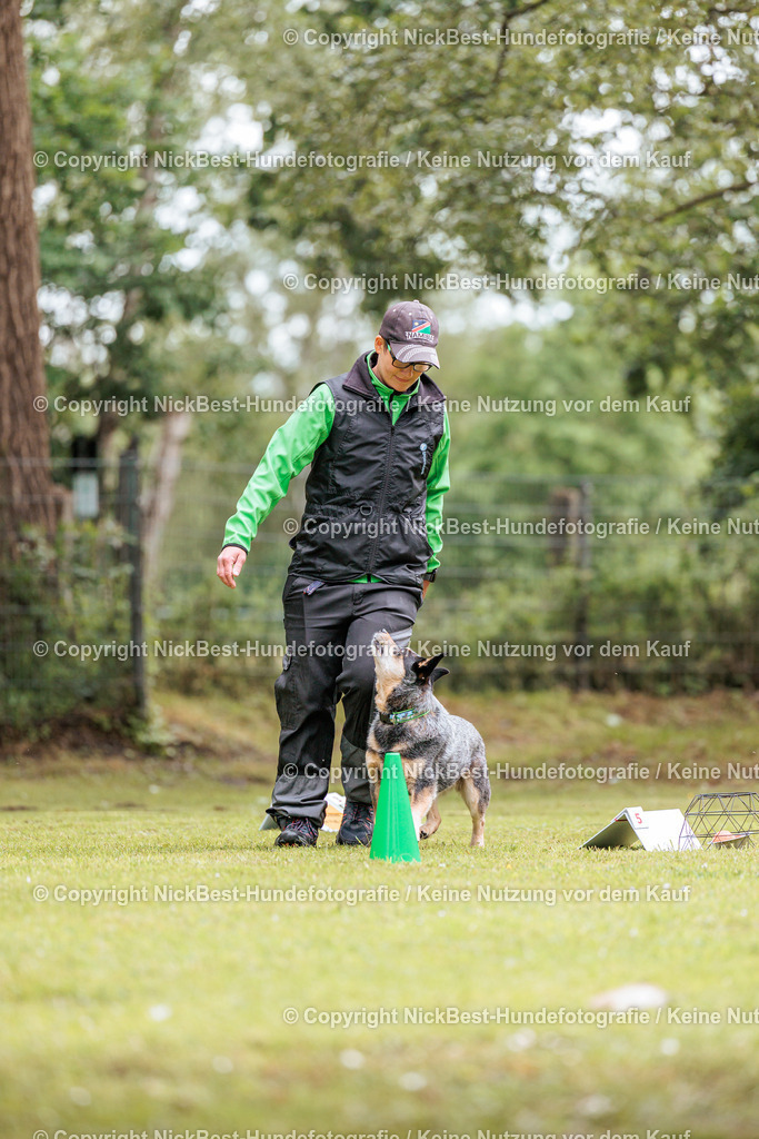 RO-Blumenthal-2026-Nickbest-Hundefotografie-1786 | Dein Hund! Dein Moment! Deine Erinnerungen! Hundefotografie in Bremen Blumenthal. Ich fange die besonderen Momente deines Vierbeiners ein – ob Indoor mit Blitzanlage oder in der freien Natur. Sicher dir dein Moment und dein Termin für eure Erinnerungen.