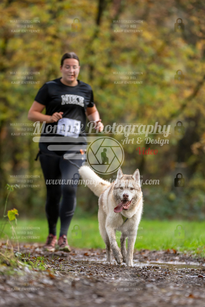MompixPhotography_Bischwiller23_Canicross-97 | PayLife