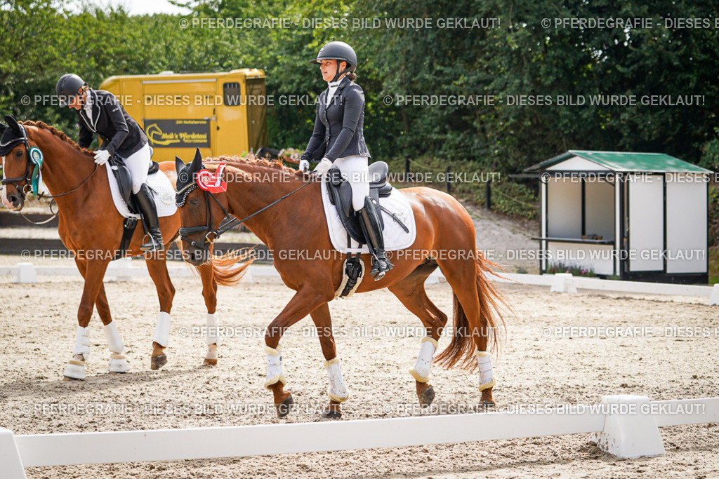 DSC02443 | Pferdegrafie