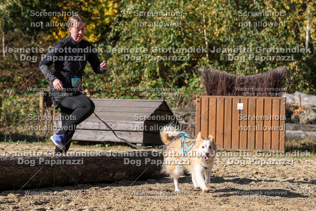 Dog Paparazzi - Strongdog 10-25-4697 | Dog Paparazzi Jeanette Grottendiek Fotografie & Videografie - Realisiert mit Pictrs.com