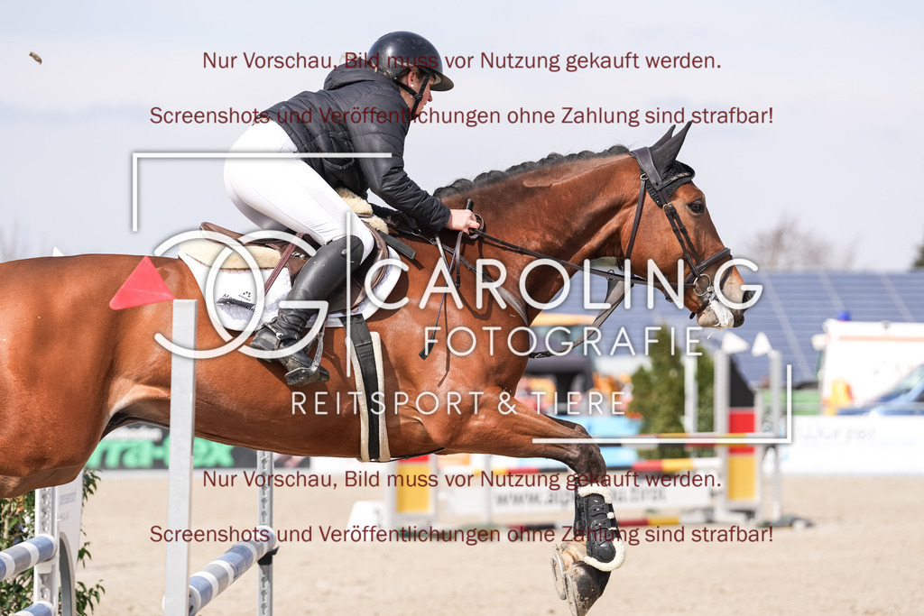 DSC05844 | Late_entry_Springturnier_Bad_Wurzach, Maren_Holz, Royal_Blue-N