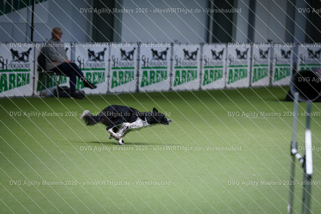 allesWIRTHgut_Tierfotografie-DVG_Agility_Masters_2026-11_16-7R501443 | Professionelle Tierfotografie in Mönchengladbach von Daniel Wirth (allesWIRTHgut). Liebevolle & natürliche Bilder von Hunden & Katzen für unvergessliche Erinnerungen.