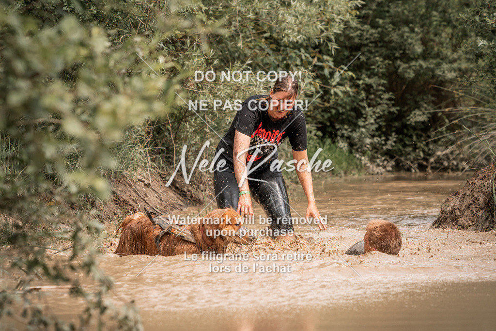 nelerasche_Hoope2026_So1400-1430_177 | nelerasche