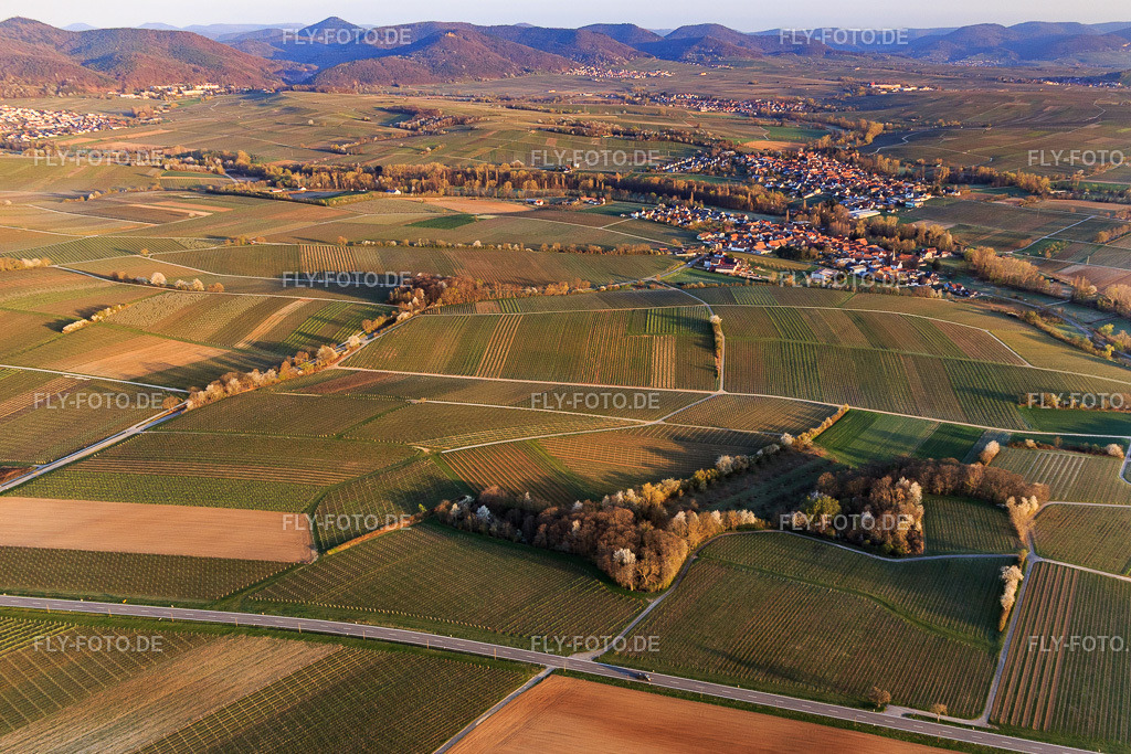 Weinberge im Frühjahr | Luftbild: Weinberge im Frühjahr im Ortsteil Klingen in Heuchelheim-Klingen im Bundesland Rheinland-Pfalz in Deutschland. Foto: IMG_126210.jpg vom 04.04.2021 durch Werner Riehm/FLY-FOTO.de - Realisiert mit Pictrs.com