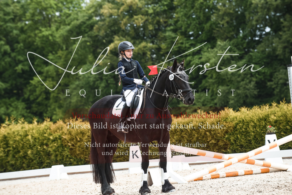 20230518_JK-Röhrsdorf-10-741 | Pferde- und Turnierfotografie in Westsachsen. Pferdeportraits, Auftragszeichnungen und intuitive Kunst.