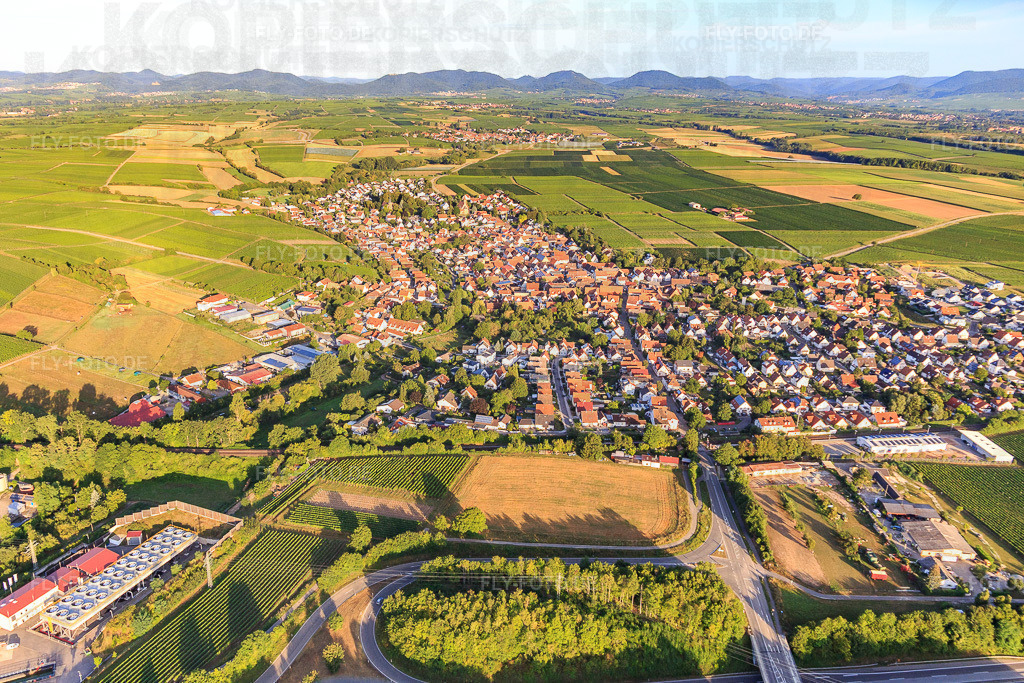 Ortsansicht von Osten | Luftbild: Ortsansicht von Osten in Insheim im Bundesland Rheinland-Pfalz in Deutschland. Foto: IMG_116648.jpg vom 11.08.2019 durch Werner Riehm/FLY-FOTO.de - Realisiert mit Pictrs.com