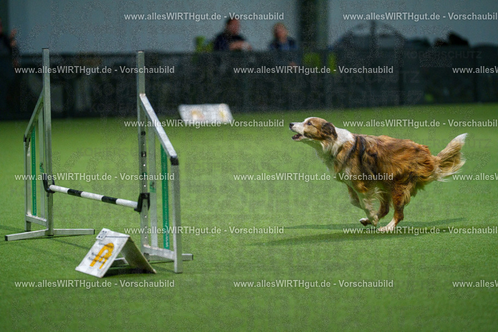 7R509723 | Professionelle Tierfotografie in Mönchengladbach von Daniel Wirth (allesWIRTHgut). Liebevolle & natürliche Bilder von Hunden & Katzen für unvergessliche Erinnerungen.