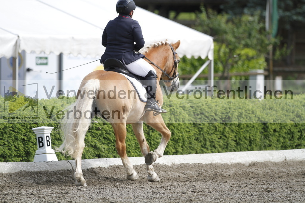 _MG_9727 | equestrian-live-com
