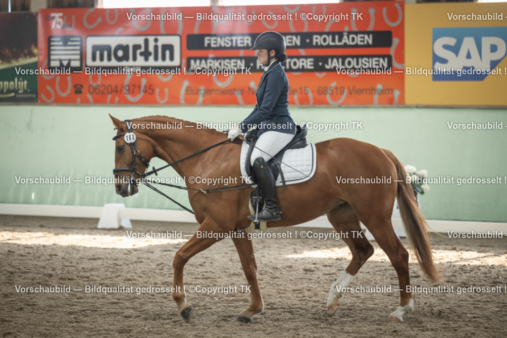 _D5A5586 | Emotionale Pferde- & People-Fotografie rund um Heidelberg, Leimen & Umgebung. Natürliche Fotos von Pferd, Mensch & Familie. Jetzt Termin sichern!