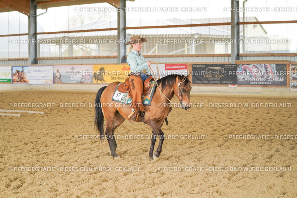 DSC04081 | Pferdegrafie