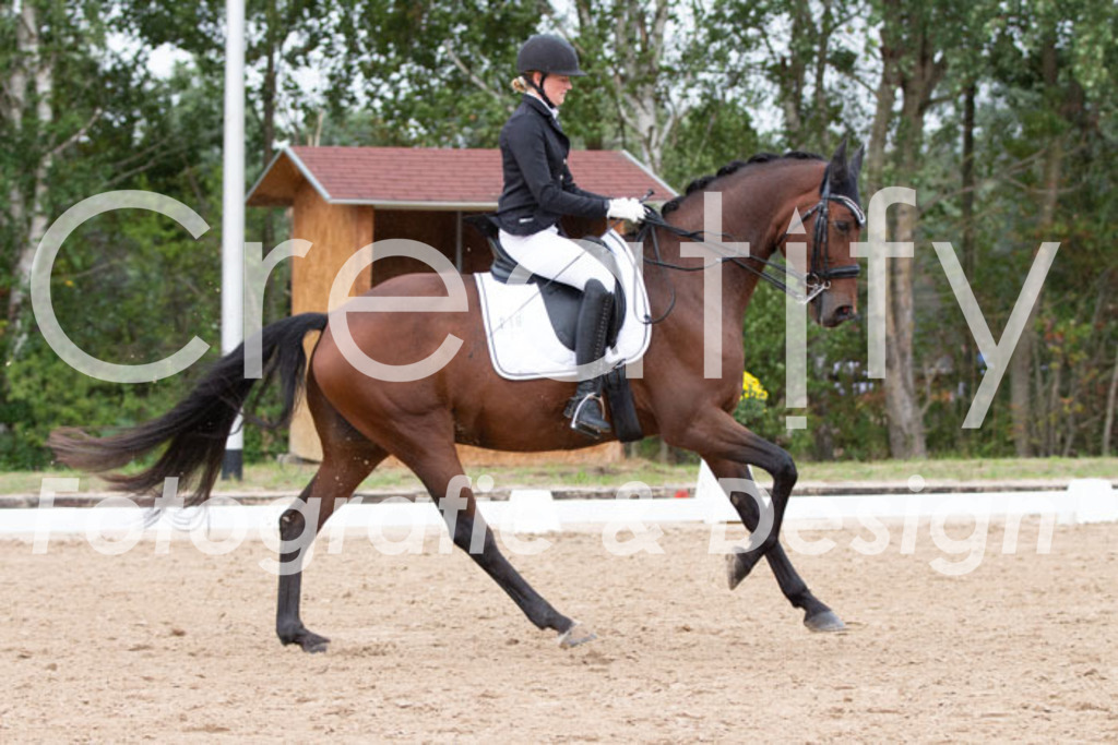 IMG_7193 | Creatify Fotografie