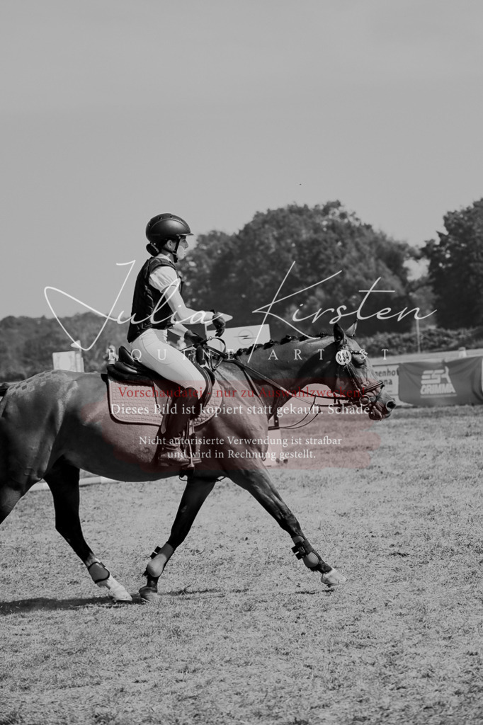 DSC_9977 | Pferde- und Turnierfotografie in Westsachsen. Pferdeportraits, Auftragszeichnungen und intuitive Kunst.