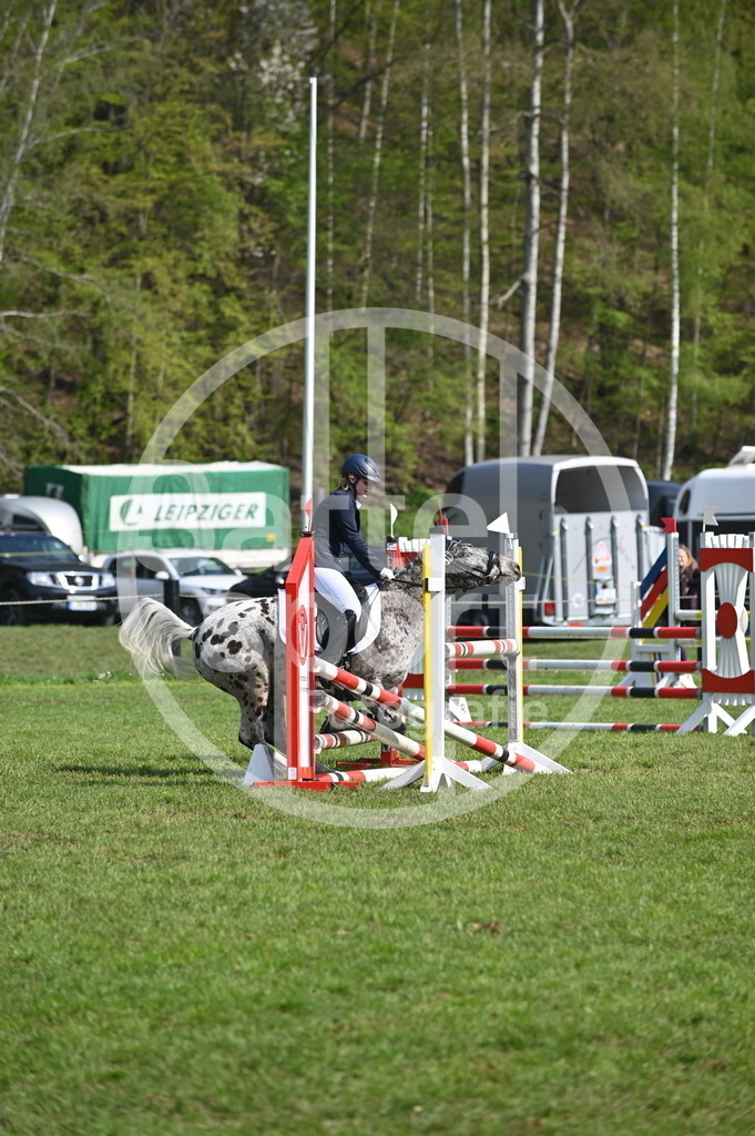 DSC_0849 | sattelsport - Realisiert mit Pictrs.com