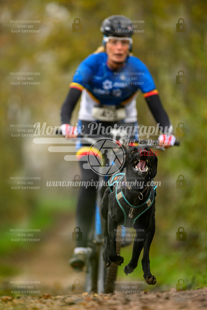 MompixPhotography_20TSB_E6_Bike-55 | PayLife