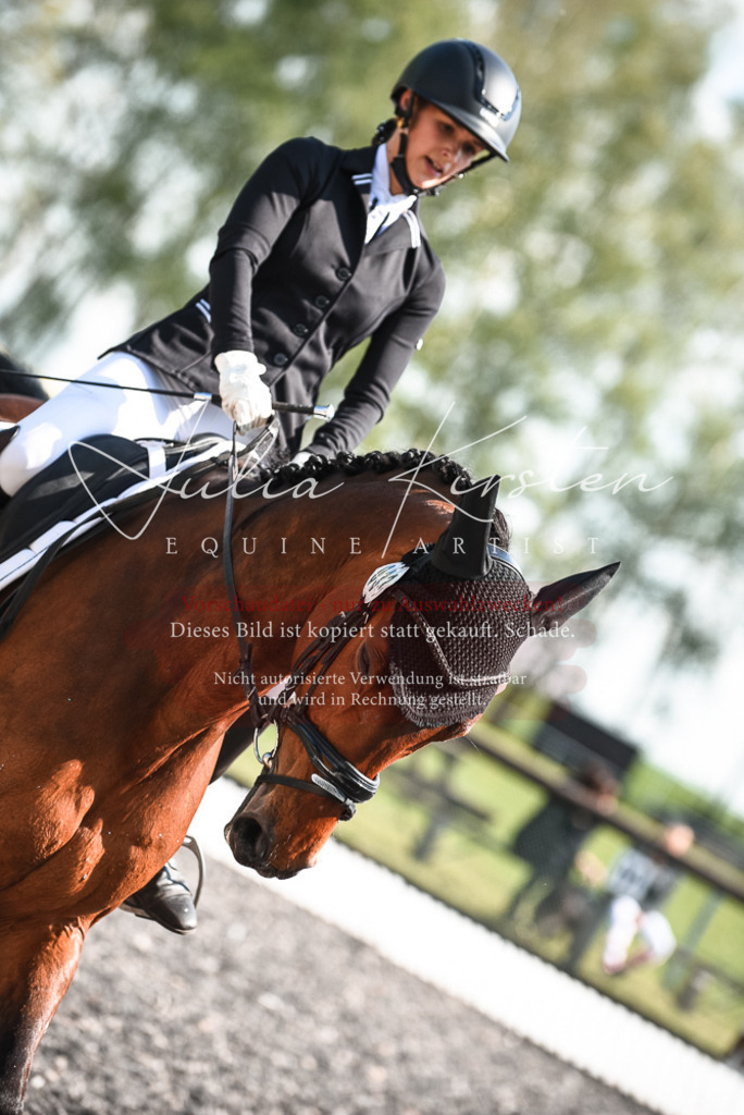 DSC_8923 | Pferde- und Turnierfotografie in Westsachsen. Pferdeportraits, Auftragszeichnungen und intuitive Kunst.