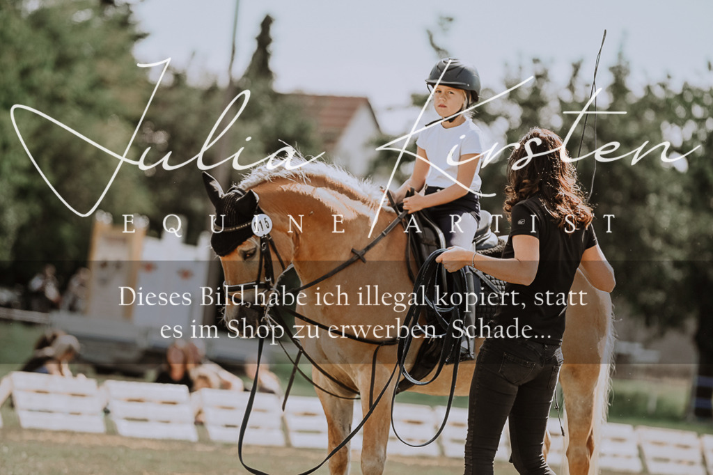 DSC_7652 | Pferde- und Turnierfotografie in Westsachsen. Pferdeportraits, Auftragszeichnungen und intuitive Kunst.