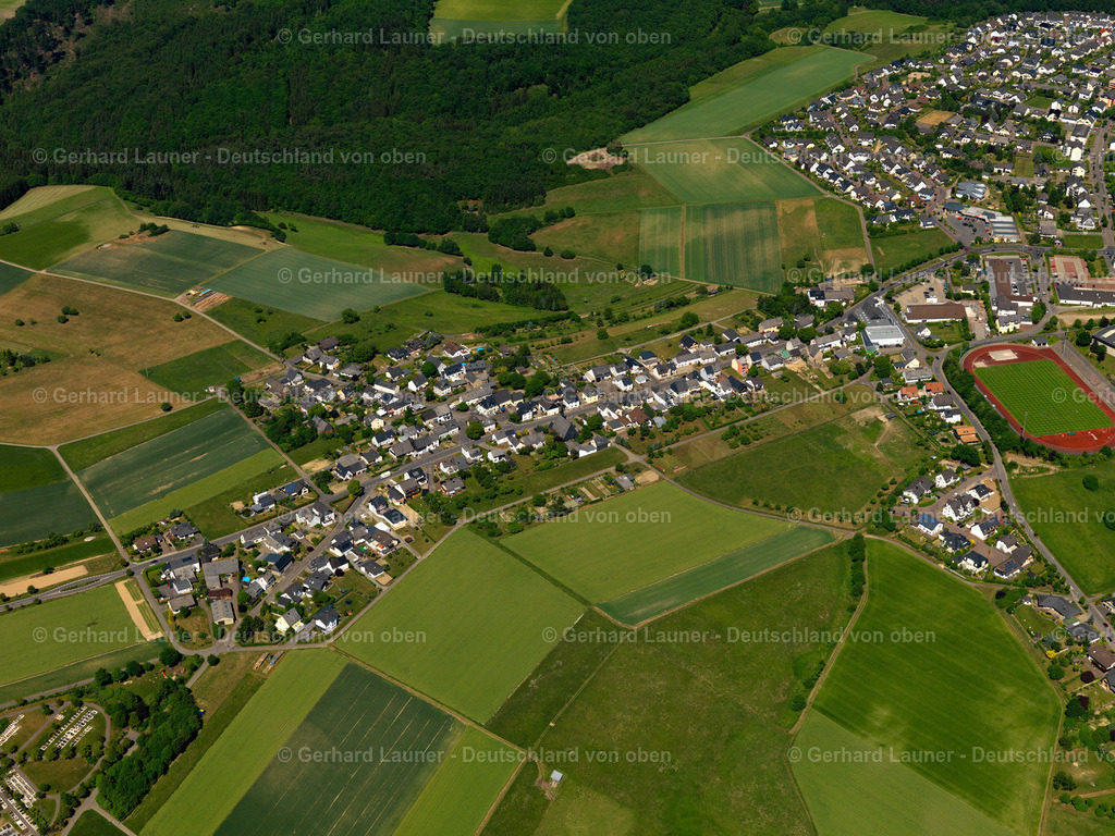 3123713 | Liesenfeld