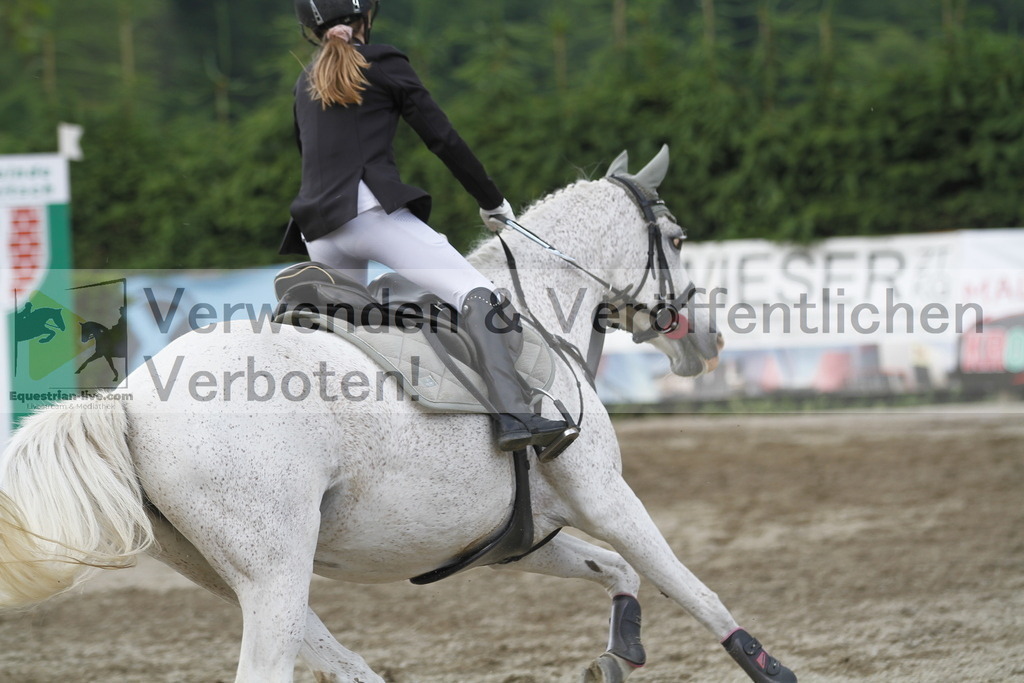 _MG_5954 | equestrian-live-com