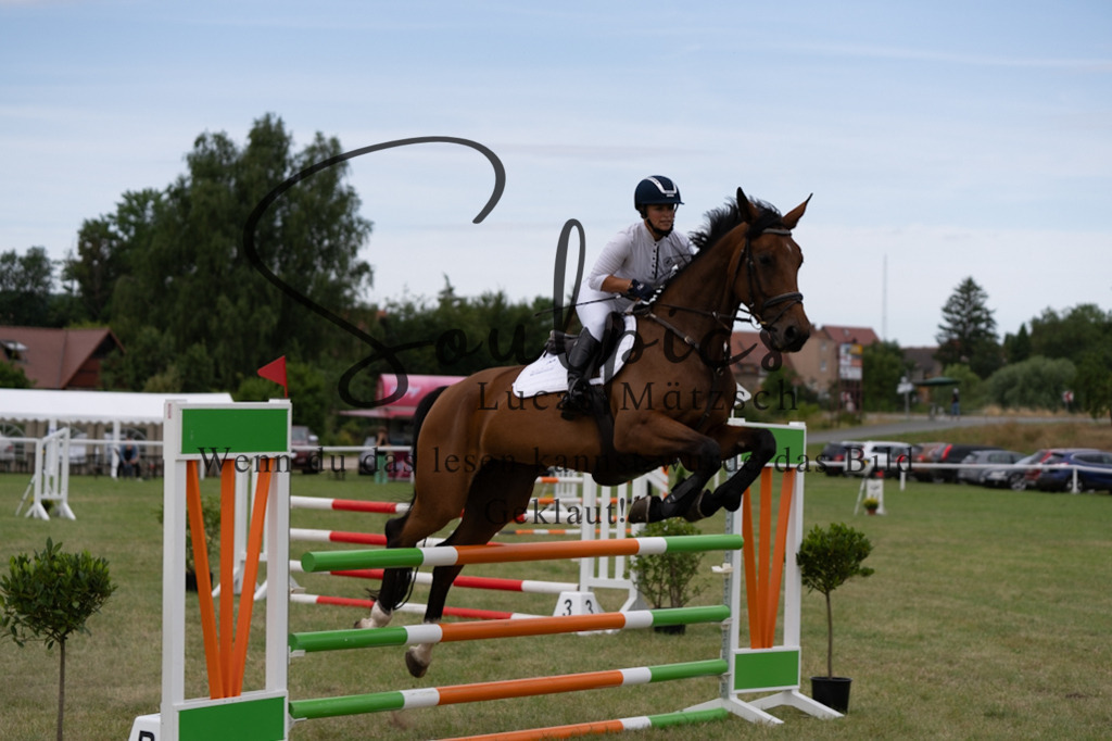 A7V01304 | Pferdefotograf