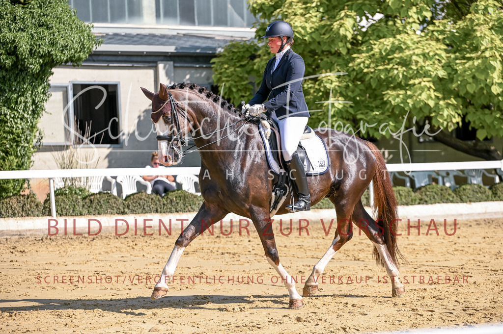 Schugtsche-Aluta25-52.Dressurprf.M2Kand-372 | Schugtsche Fotografie - Realisiert mit Pictrs.com
