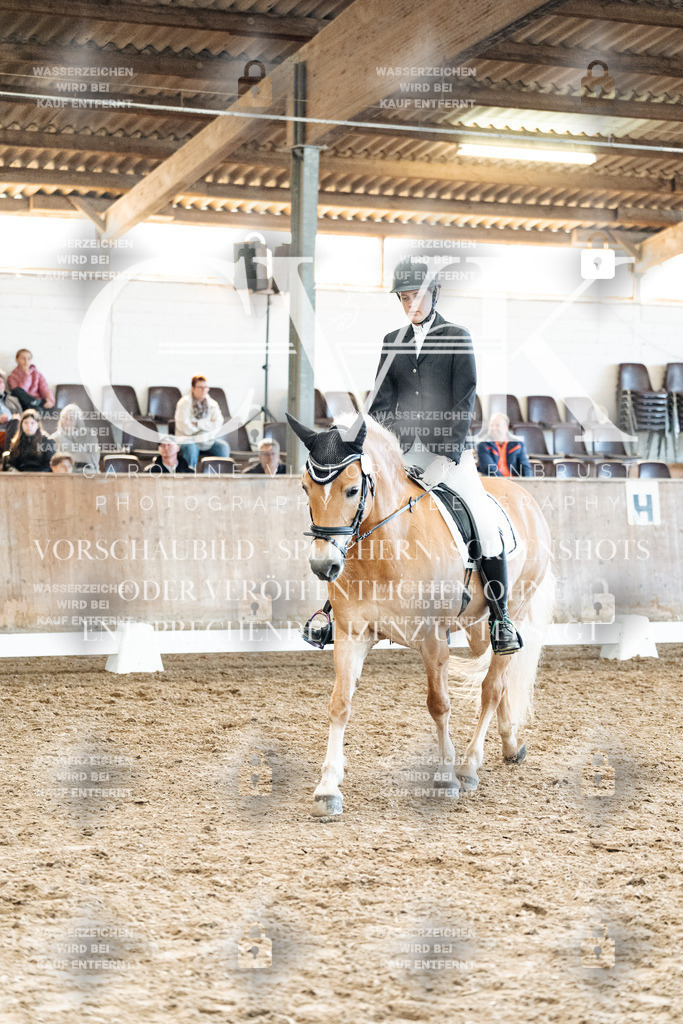 CK909991 | Turnierfotografie Pferdefotografie Trier Rheinland-Pfalz Pferdesport Reitsport Tierfotografie Sportfotografie Pferdevideo Pferdevideografie Equestrianvideography equestrianphotography  - Realized with Pictrs.com