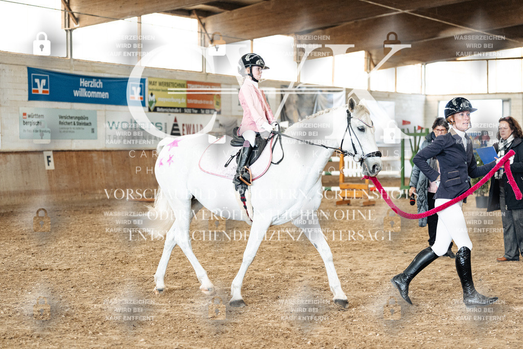 CK906080 | Turnierfotografie Pferdefotografie Trier Rheinland-Pfalz Pferdesport Reitsport Tierfotografie Sportfotografie Pferdevideo Pferdevideografie Equestrianvideography equestrianphotography  - Realisiert mit Pictrs.com