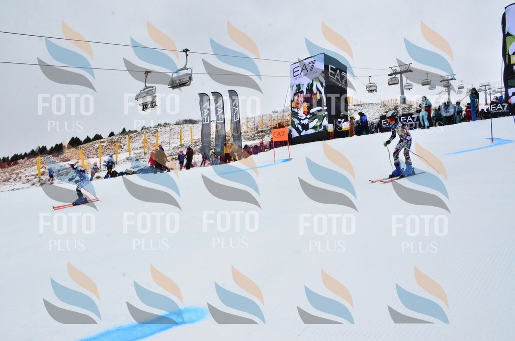 _ELE3091 | holidayphoto