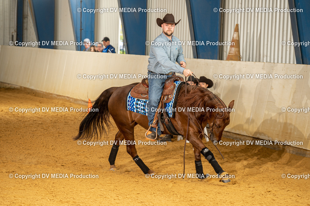 MIT01113 | dv-media-shop - Realisiert mit Pictrs.com