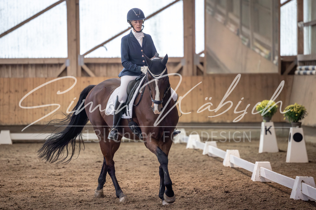 20251011-_3LI1640 | Tierfotografie Pferde, Hunde, Katzen, Haustiere.
Turnierfotografie Reitturniere, Reiten, Springreiten, Dressur in Hanau, dem Main-Kinzig-Kreis und dem Rhein-Main- Gebiet um Frankfurt