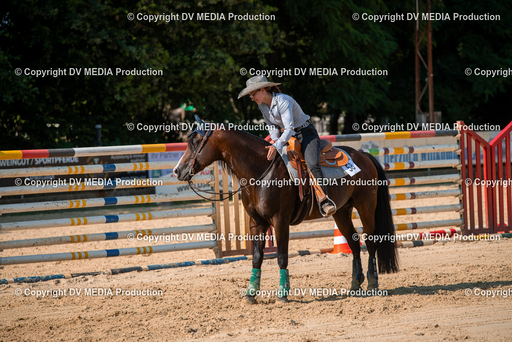 ZS2_8803 | dv-media-shop - Realisiert mit Pictrs.com