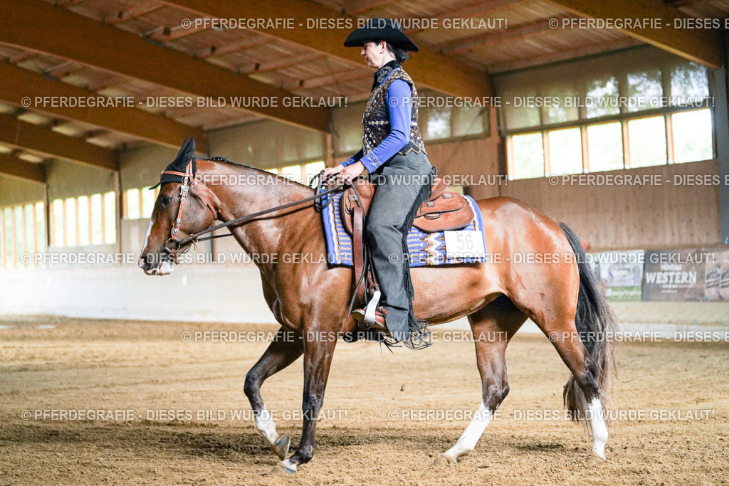 DSC05621 | Pferdegrafie