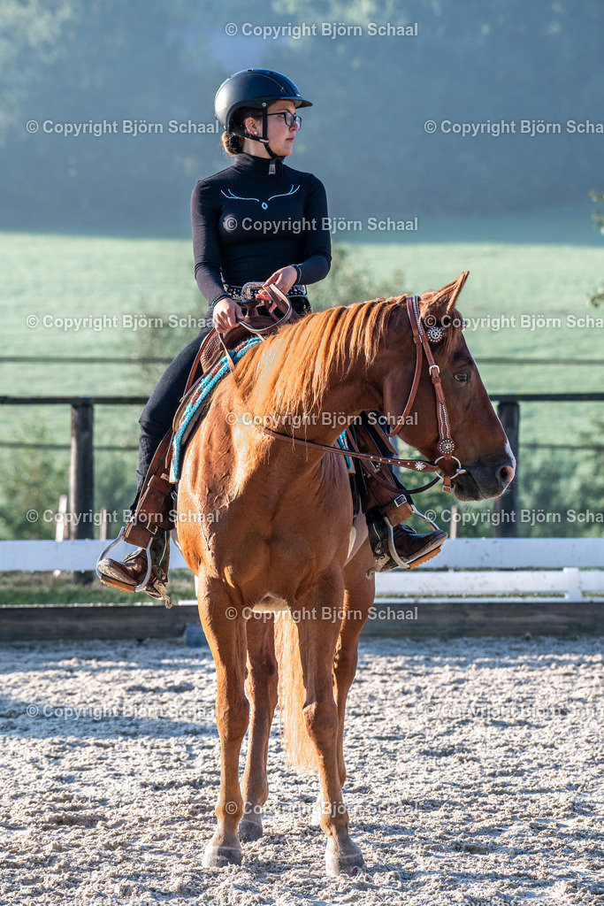 HOB07811 | BS-foto